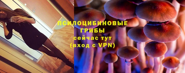 крисы Вяземский