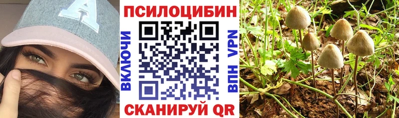 Купить закладки  Балаково  Галлюциногенные грибы Psilocybe 